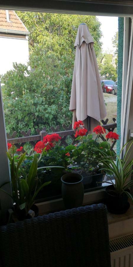 Dorfstrasse 21 Ferienwohnung 3 Schwielowsee Zewnętrze zdjęcie